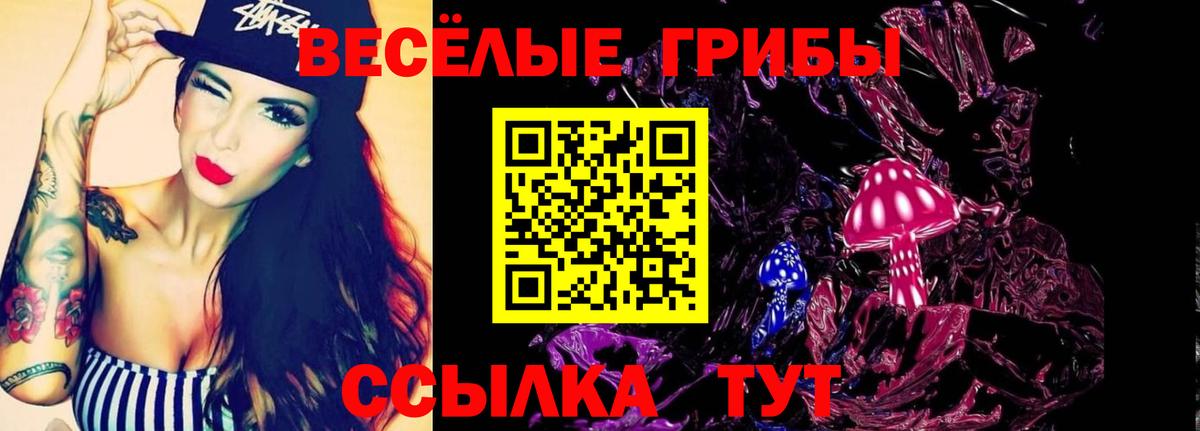 Псилоцибиновые грибы GOLDEN TEACHER Волгодонск
